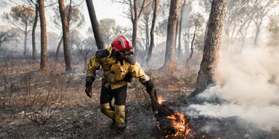 Un feu de forêt se déclare à Salernes, 3.000 mètres carrés de végétation partent en fumée