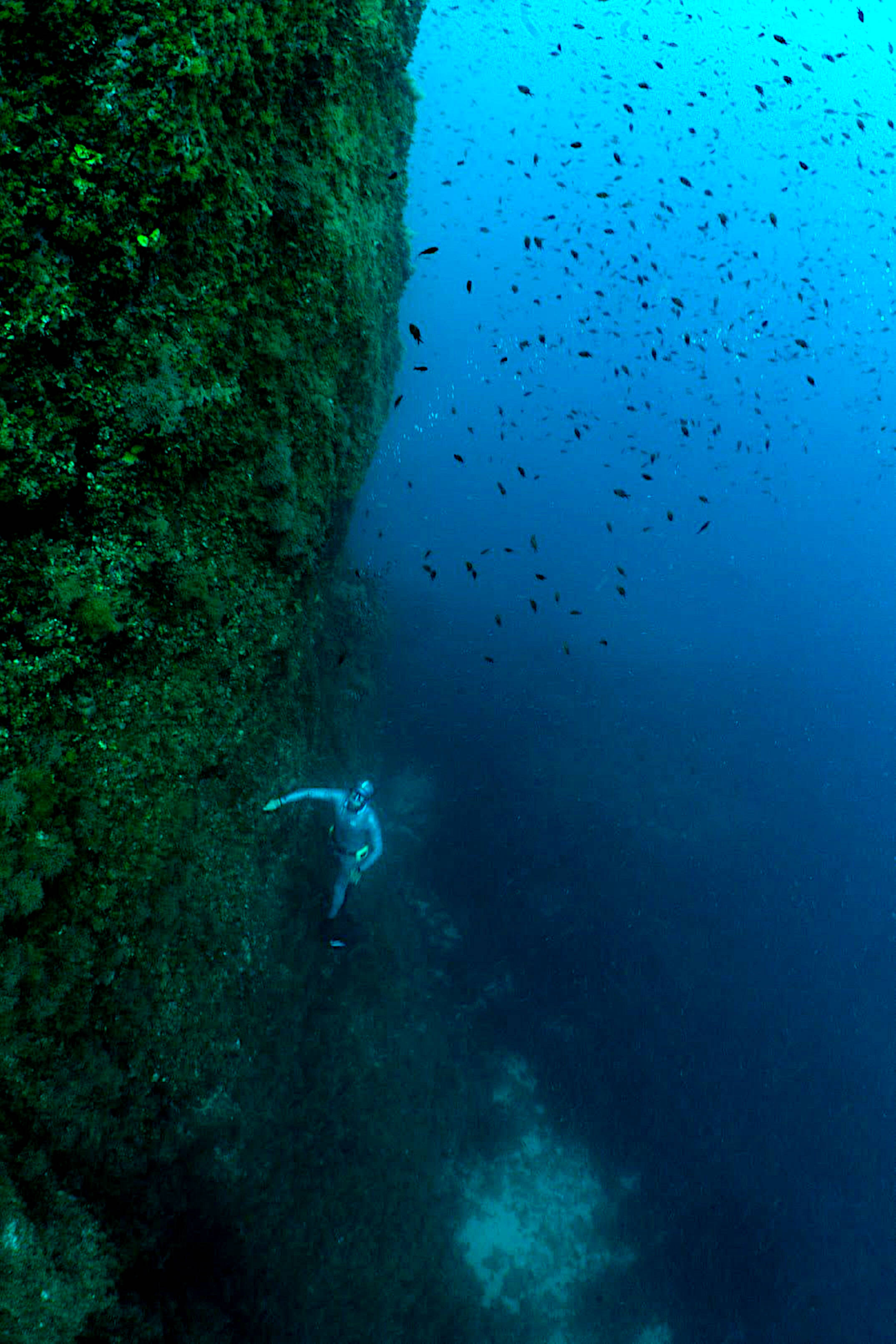 "Sous l'eau, je me sens libre, en paix avec moi-même": rencontre avec l'apnéiste varois, Cédric Génin