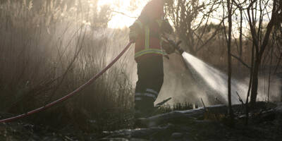 À Fréjus, un incendie détruit 1.000 m2 de végétation