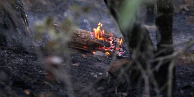 Un feu d'espace naturel s'est déclaré à Salernes