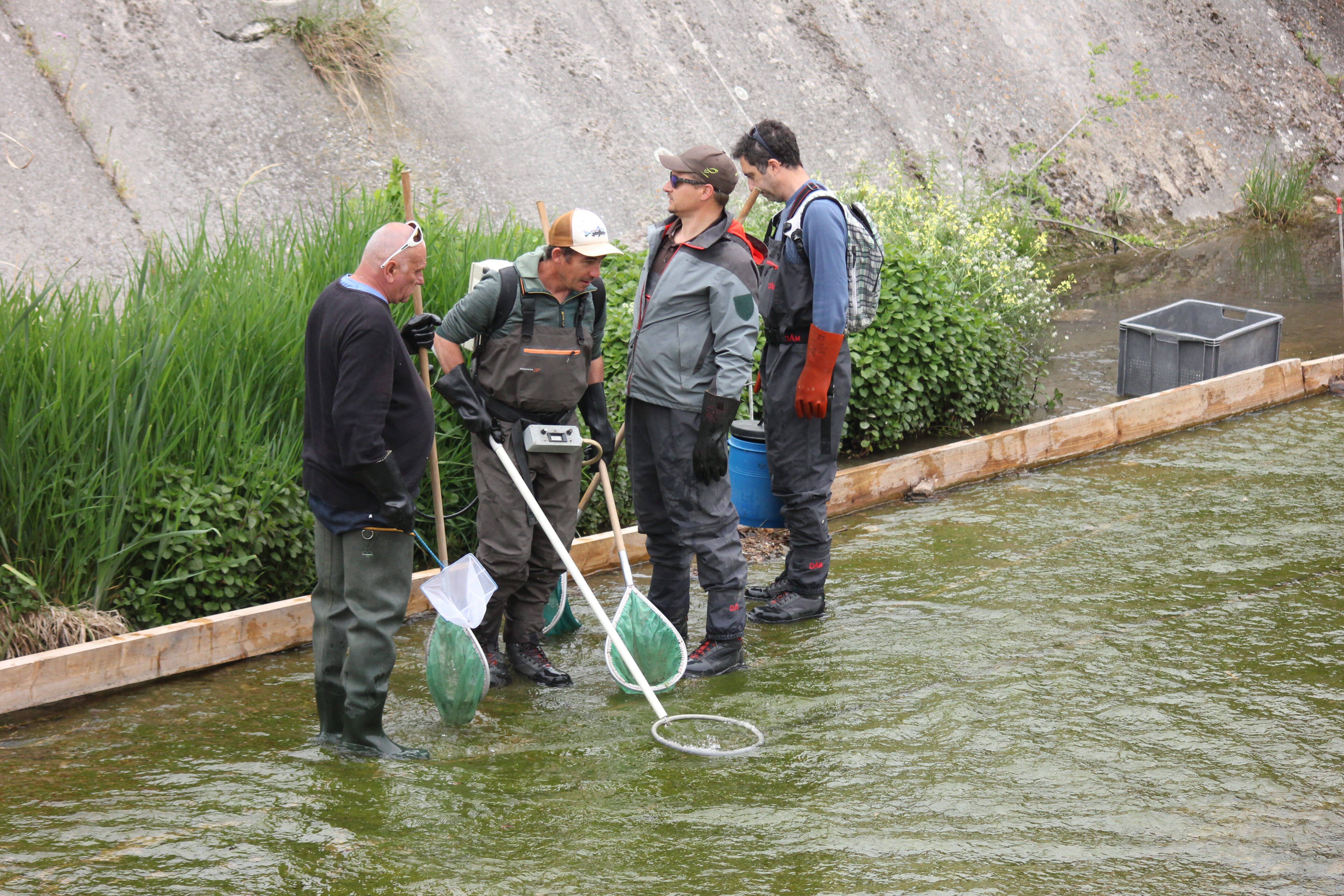 "Ce sont des espèces à fort intérêt patrimonial": une pêche dans la Cagne pour sauver un maximum de poissons
