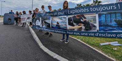 Des manifestants demandent la libération des cétacés devant Marineland à Antibes