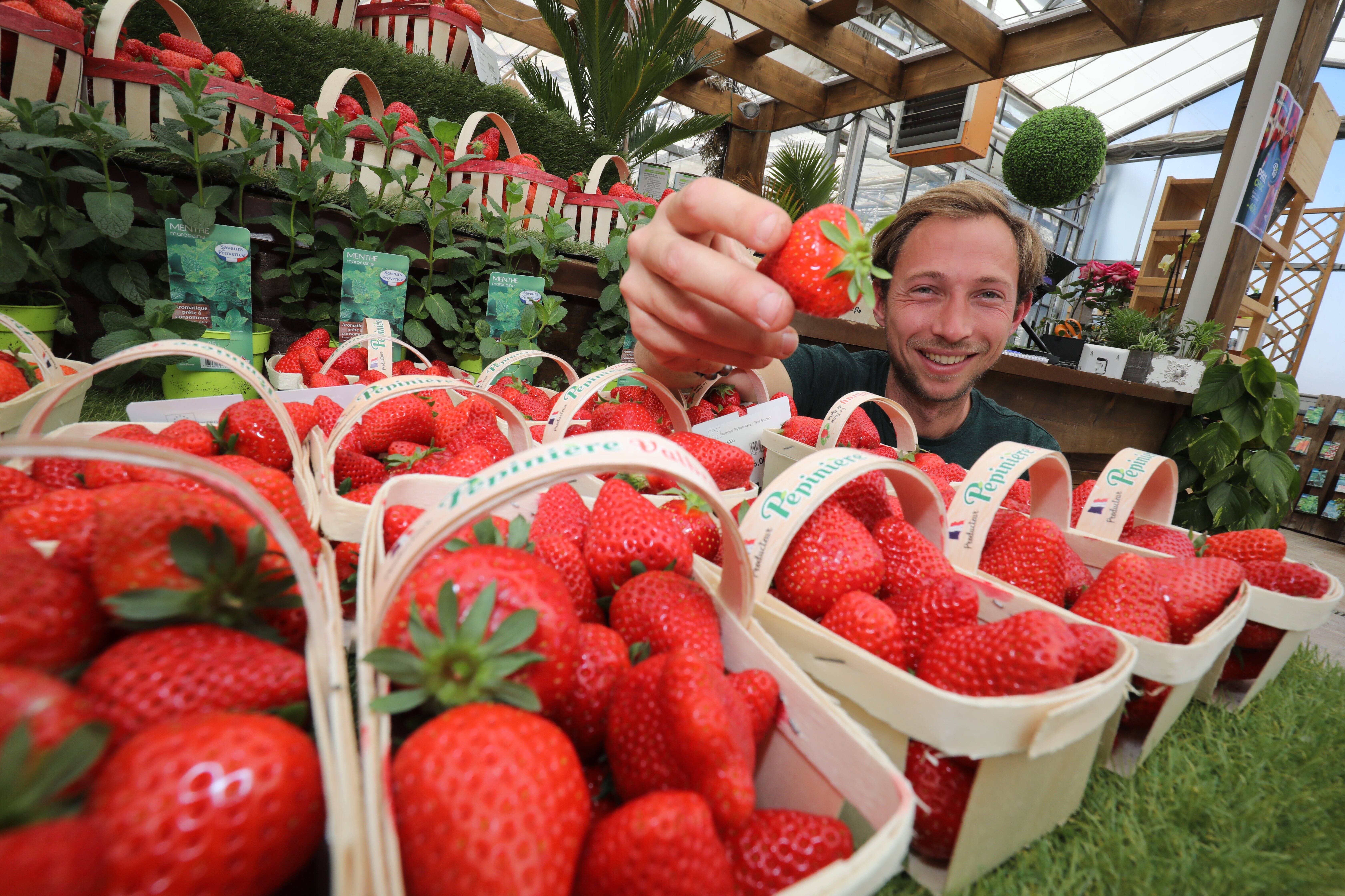A Hyères, la saison des fraises est (enfin) arrivée... et on vous explique comment les sublimer !