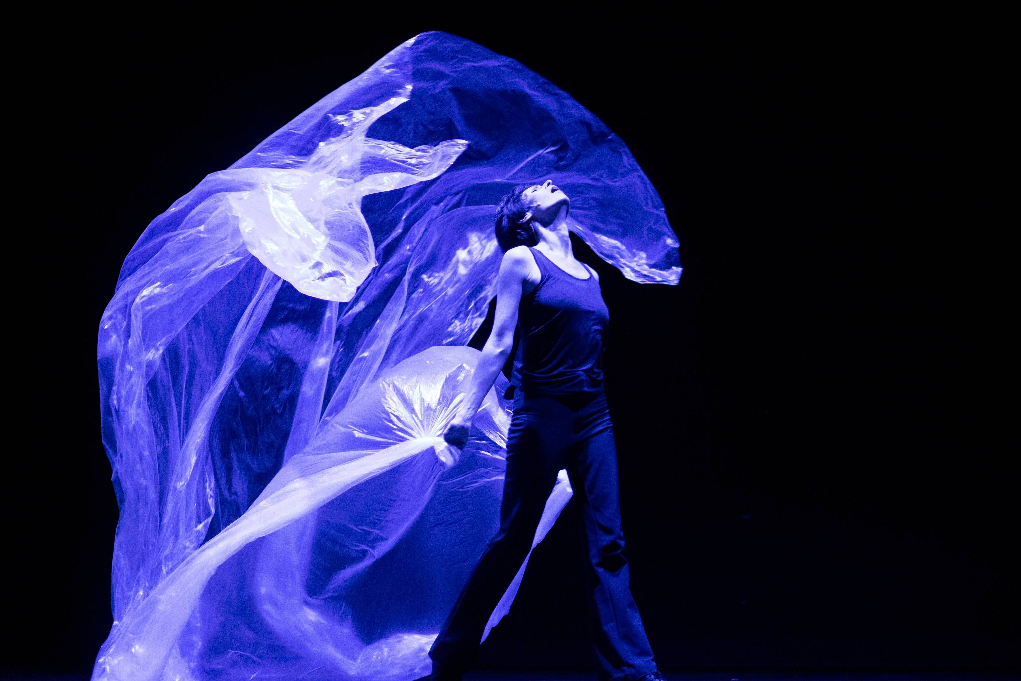 "J'ai écrit une réflexion sur la danse, mon métier, mes expériences...": rencontre avec la chorégraphe Marie-Claude Pietragalla