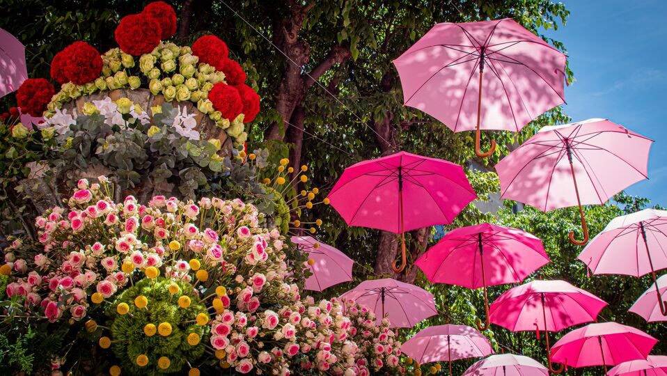 5 bonnes raisons de se rendre à la 50e édition d'ExpoRose à Grasse