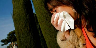 Allergies aux pollens: les Alpes-Maritimes et le Var en alerte rouge