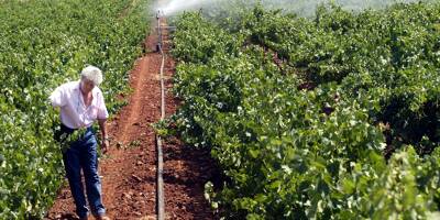 Irrigation agricole: péril sur le réseau d'eau potable dans le Var?
