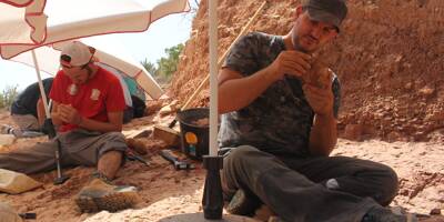 Ce paléontologue nous emmène sur les traces des dinosaures carnivores de Provence