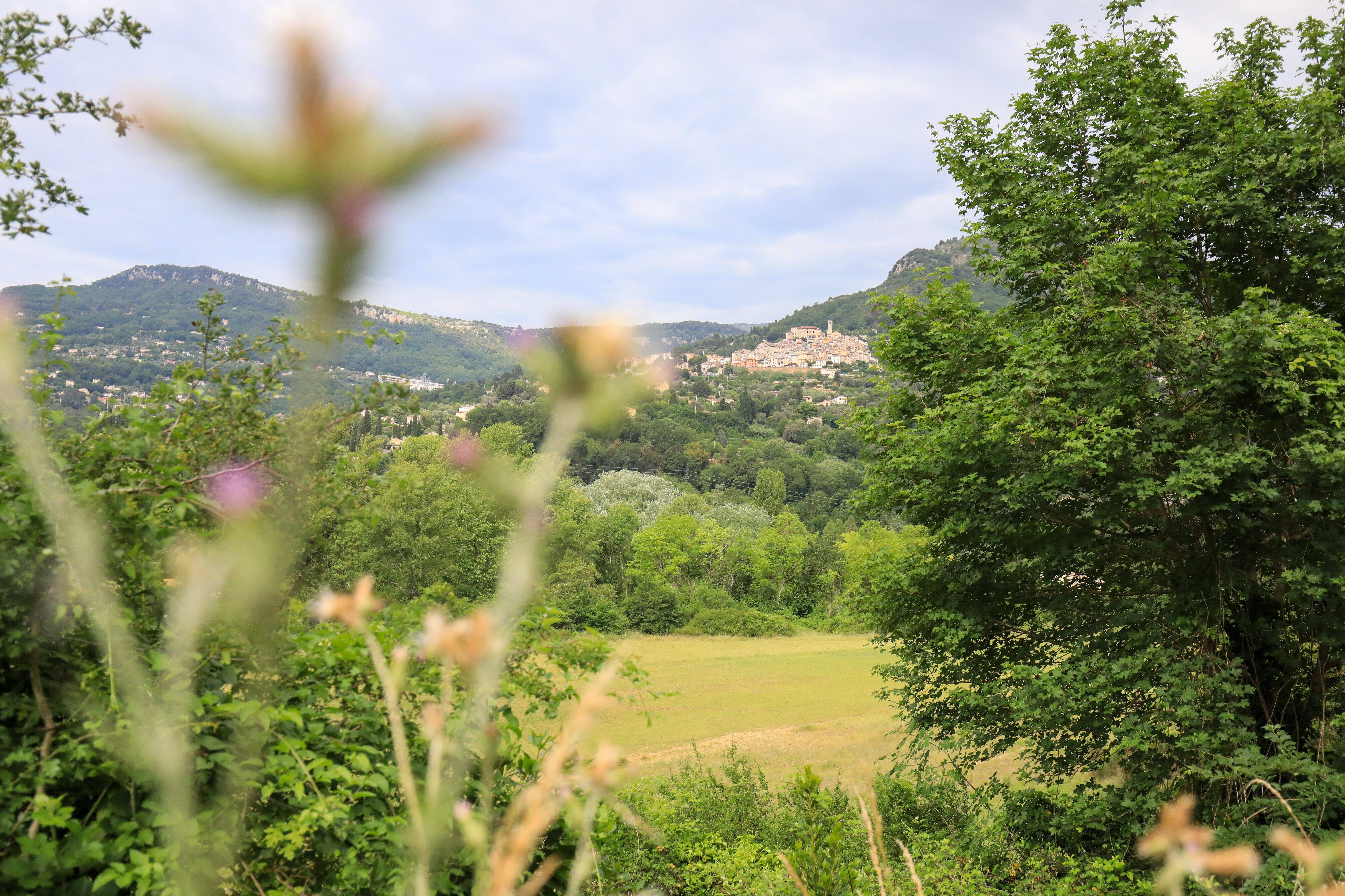 Le maire de Tourrettes-sur-Loup et des riverains en colère après la réquisition d'un terrain par l'Etat pour accueillir les gens du voyage