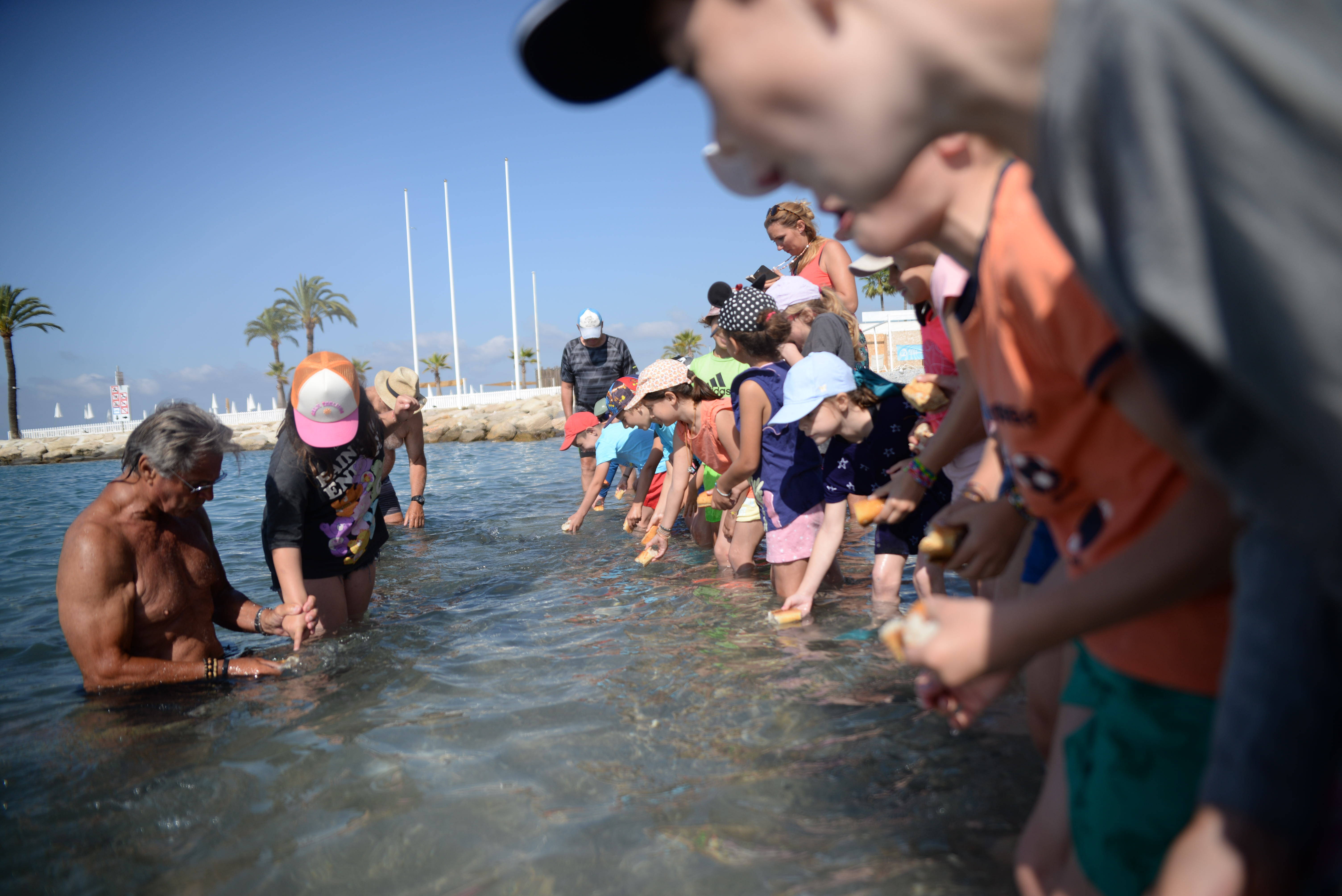 L'occasion pour les petits de "caresser les poissons", l'Aquarium naturel des Flots bleus rempile cet été à Saint-Laurent-du-Var