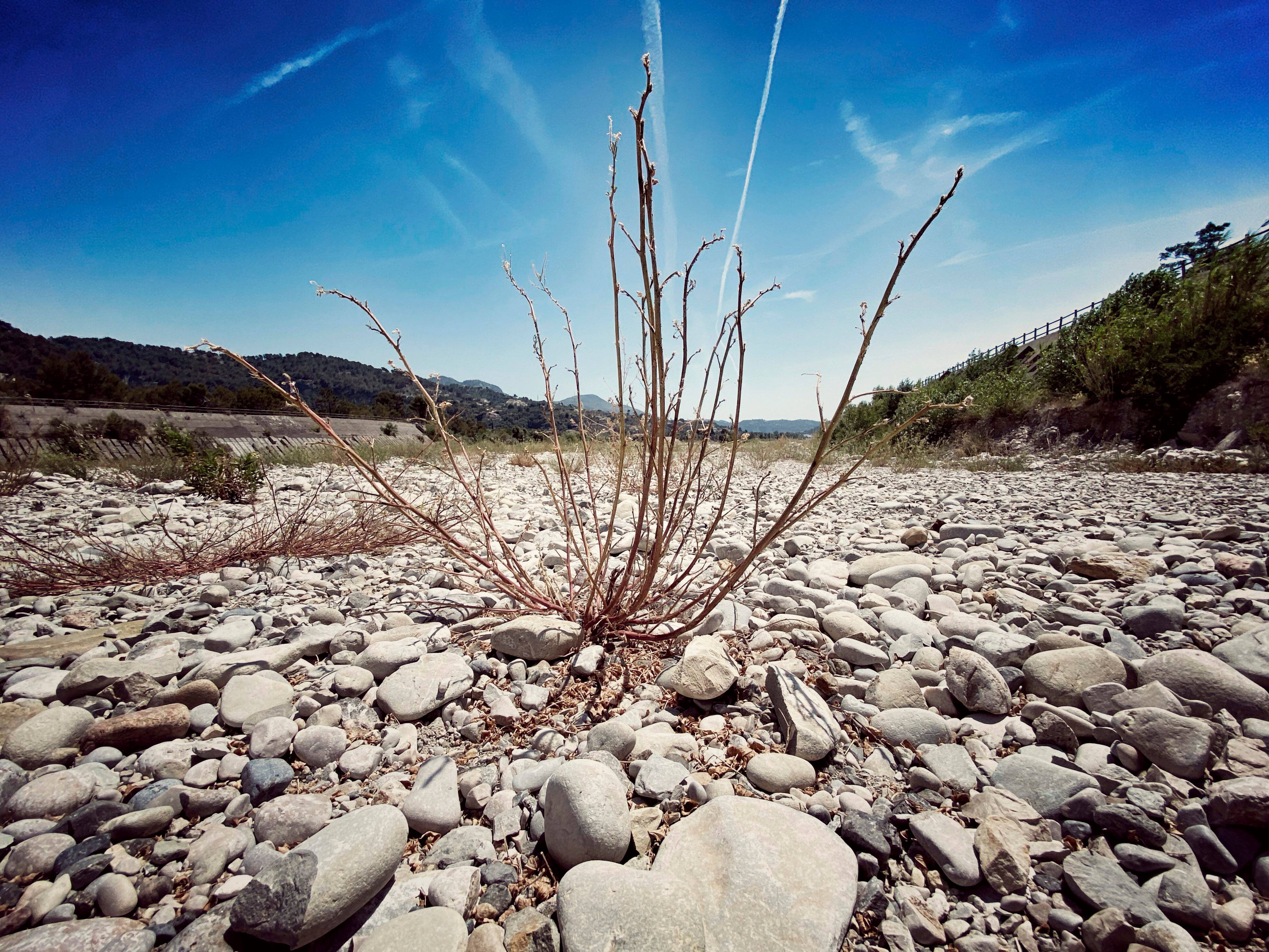Face à la sécheresse, avez-vous des idées pour éviter le gaspillage? Votre avis nous intéresse.