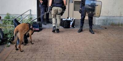 Coup de filet anti-stups à Cannes: 80 policiers déployés, 8 personnes interpellées