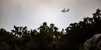 Incendie de Canjuers: Le feu enfin fixé selon les pompiers, 1.800 hectares de végétation partis en fumée