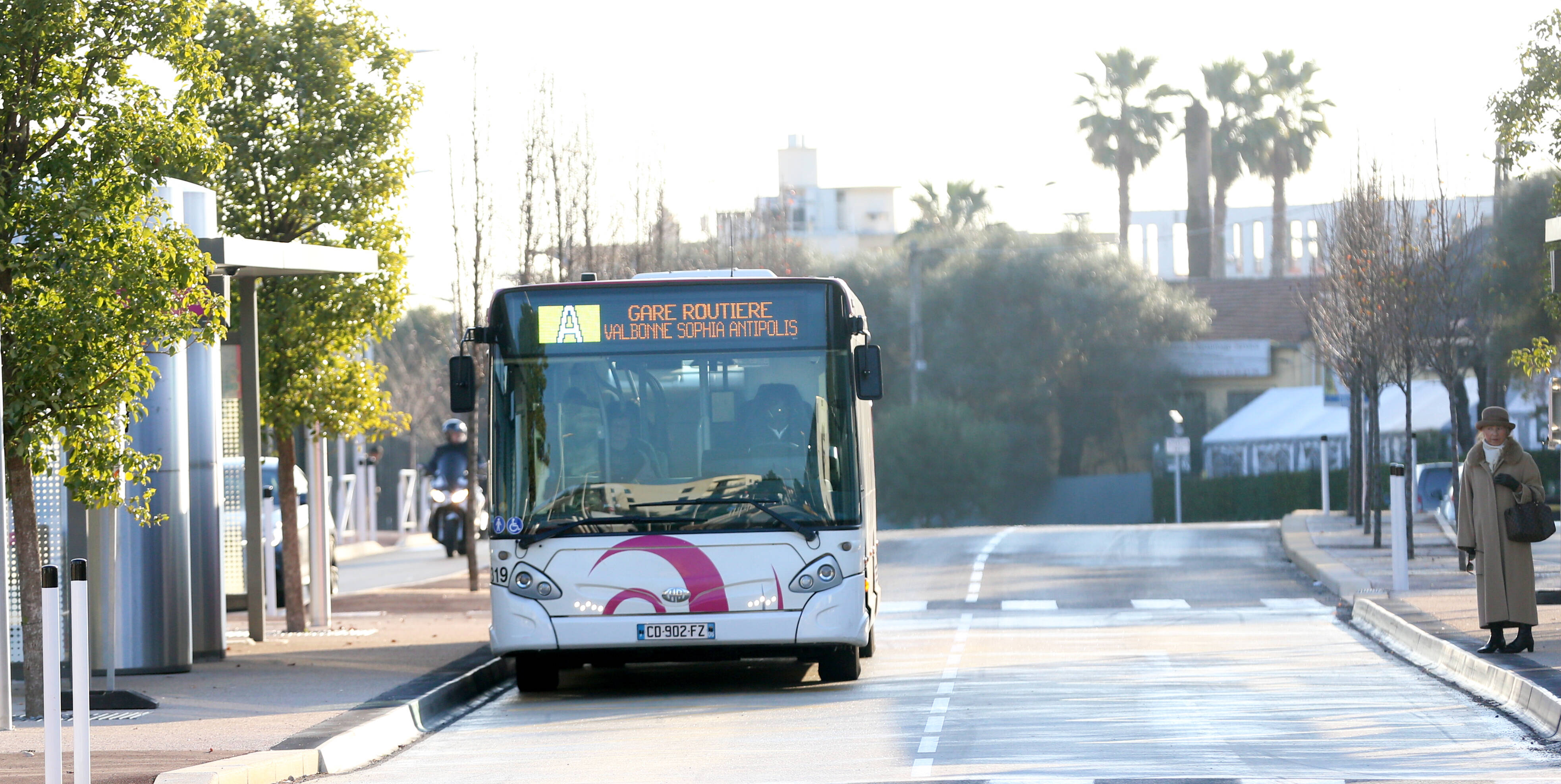 Arret De Bus La Regence Juan Les Pins Envibus: les horaires de bus changent pour le 14 juillet - Nice-Matin