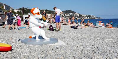 À Nice, le chien Totor aide les nageurs à s'extirper de l'eau de mer