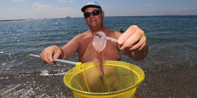 Qui est ce touriste qui débarrasse les eaux du Cros-de-Cagnes des méduses ?