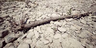Sécheresse: ces 14 communes des Alpes-Maritimes risquent de bientôt manquer d'eau