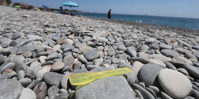 Les cuillères en plastique sont désormais interdites: mais pourquoi en retrouve-t-on encore sur les plages?