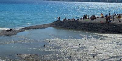 La baignade de nouveau autorisée ce dimanche sur trois plages de Nice