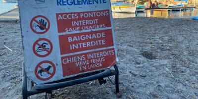 Au port de l'Olivette à Antibes, les baigneurs investissent massivement les pontons malgré l'interdiction