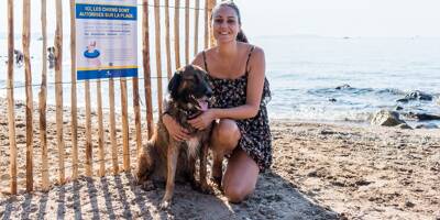 "On ne savait plus où aller pour les rafraîchir": les chiens enfin autorisés à se baigner à Hyères