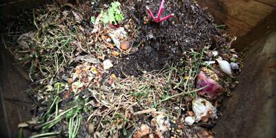 Le compost : une solution qui date du XIIIe siècle pour lutter contre la sècheresse
