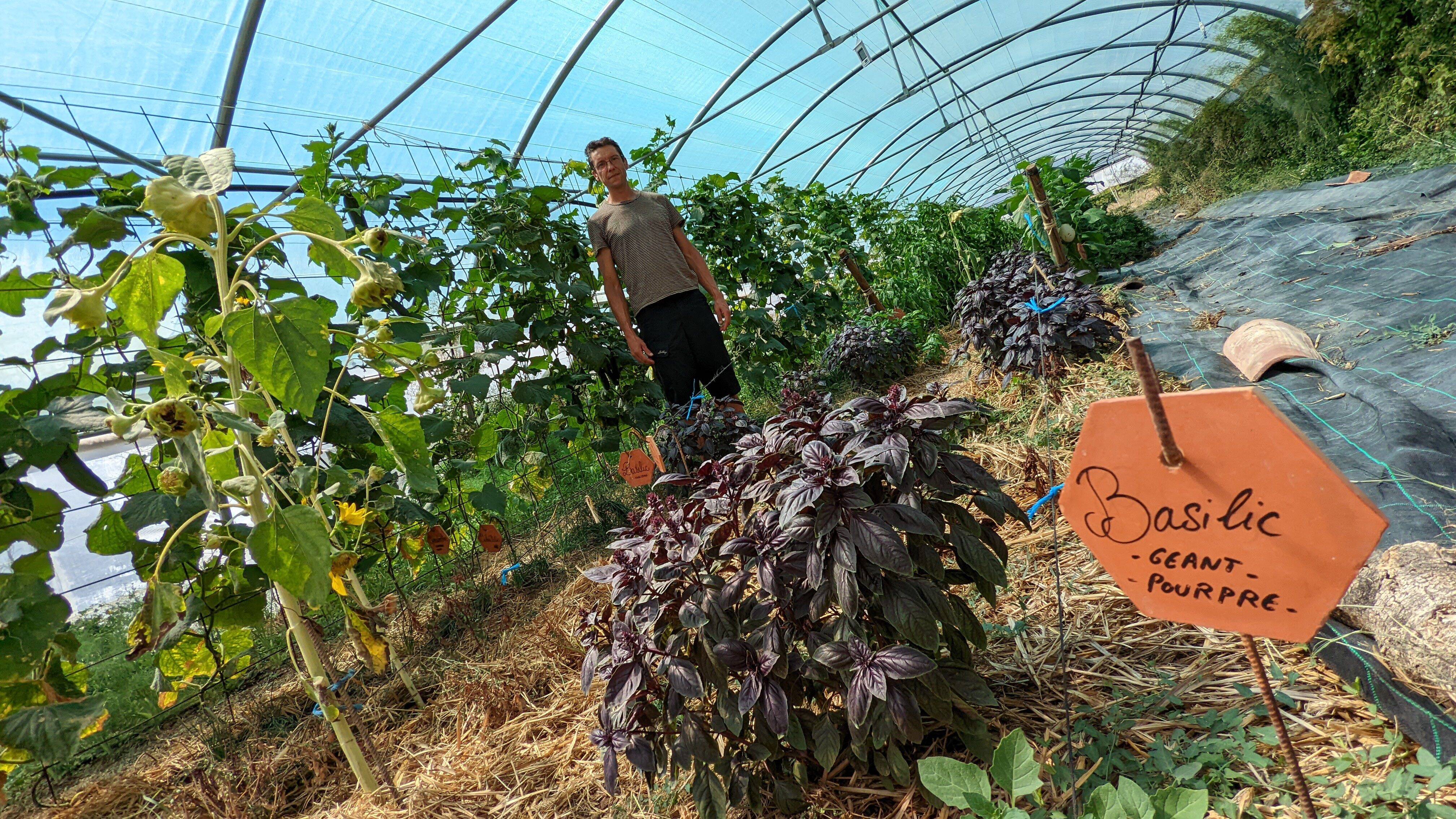 La ferme maraîchère Potagers & compagnie propose ses services aux municipalités varoises