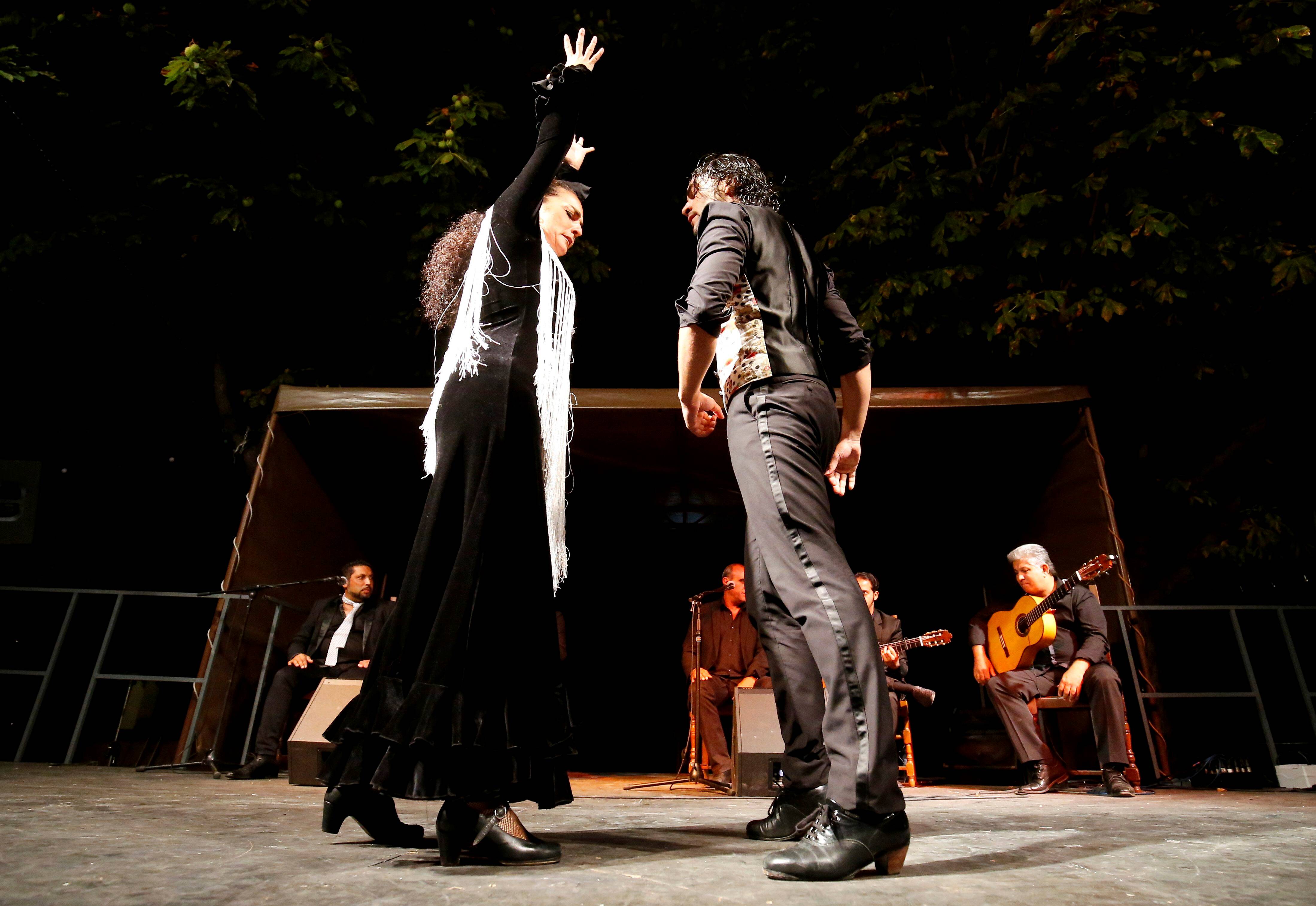 Planté en 1713, l'orme de Gorbio partage ses souvenirs: "Je suis tout feu tout... flamenco!"