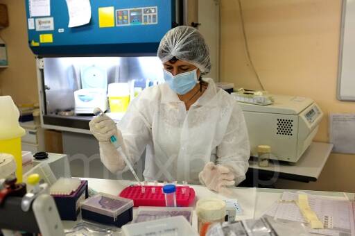 Un cambrioleur oublie de tirer la chasse d'eau en partant, il est confondu par son urine et un poil pubien