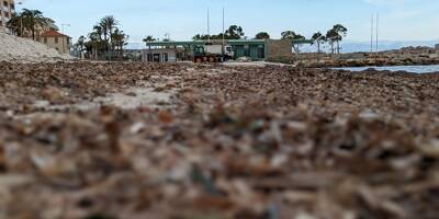 Certaines plages d'Antibes fermées pendant 24 heures à la suite des intempéries