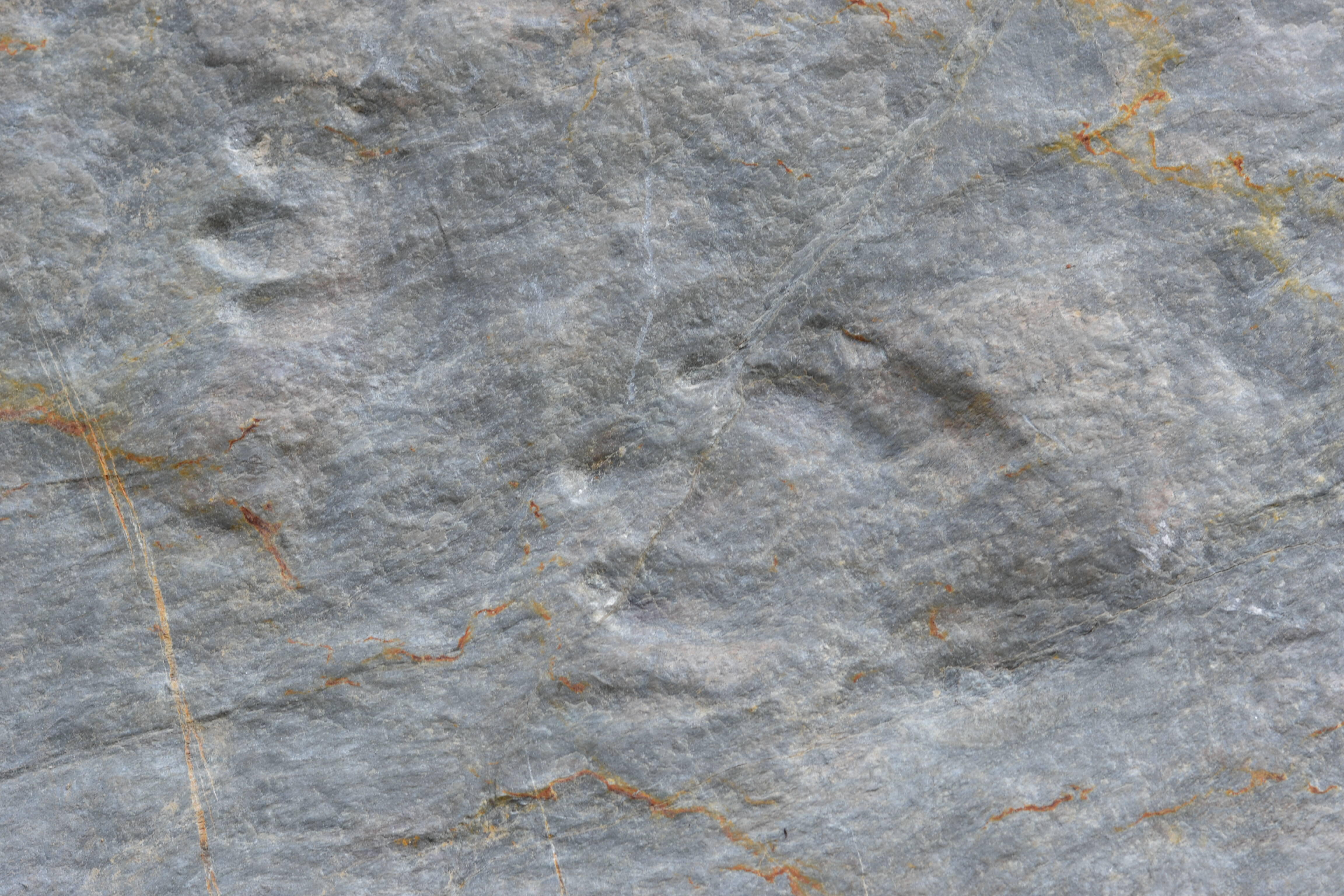 Découverte il y a deux ans, une trace "extrêmement rare" de dinosaure a été moulée à Saint-Etienne-de-Tinée