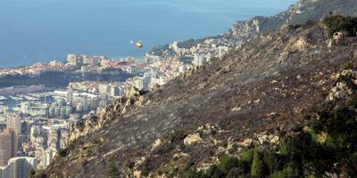 8 hectares brûlés, familles évacuées... On fait le point sur l'incendie de cette nuit à Roquebrune-Cap-Martin
