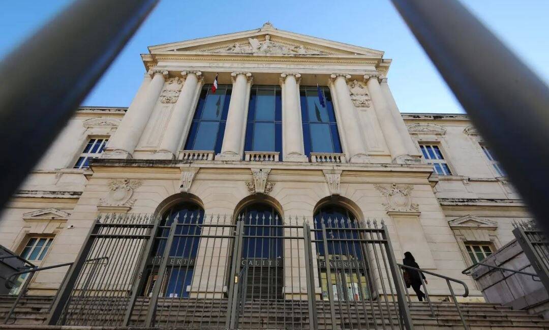 Frappé, pendu et jeté dans un container: le bourreau du chien Marshall condamné par le tribunal de Nice