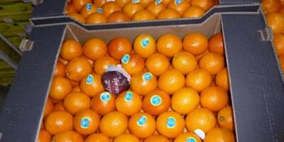 Rappel d'oranges vendues dans des supermarchés de toute la France