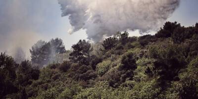 L'incendie ralentit sa progression dans l'arrière-pays de Grasse, sa cause serait accidentelle