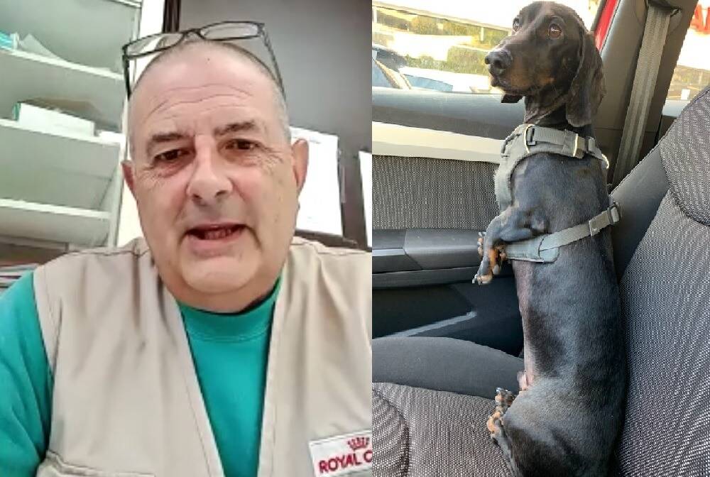 VIDEO. "Il faut assermenter des acteurs de la protection animale" pour aller plus loin contre les maltraitances