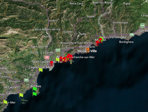 Retour des méduses sur le littoral méditerranéen : voici les bons gestes à  adopter en cas de piqûre 