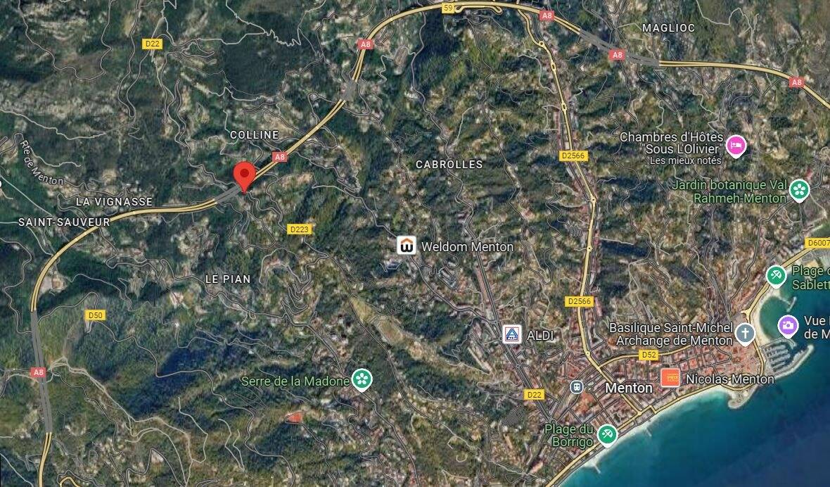 La circulation à Sainte-Agnès coupée en raison d'une chute d'arbre