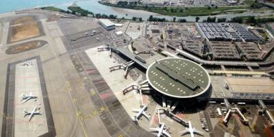 Le puits de carbone installé à l'aéroport de Nice pour compenser les émissions est-il efficace?
