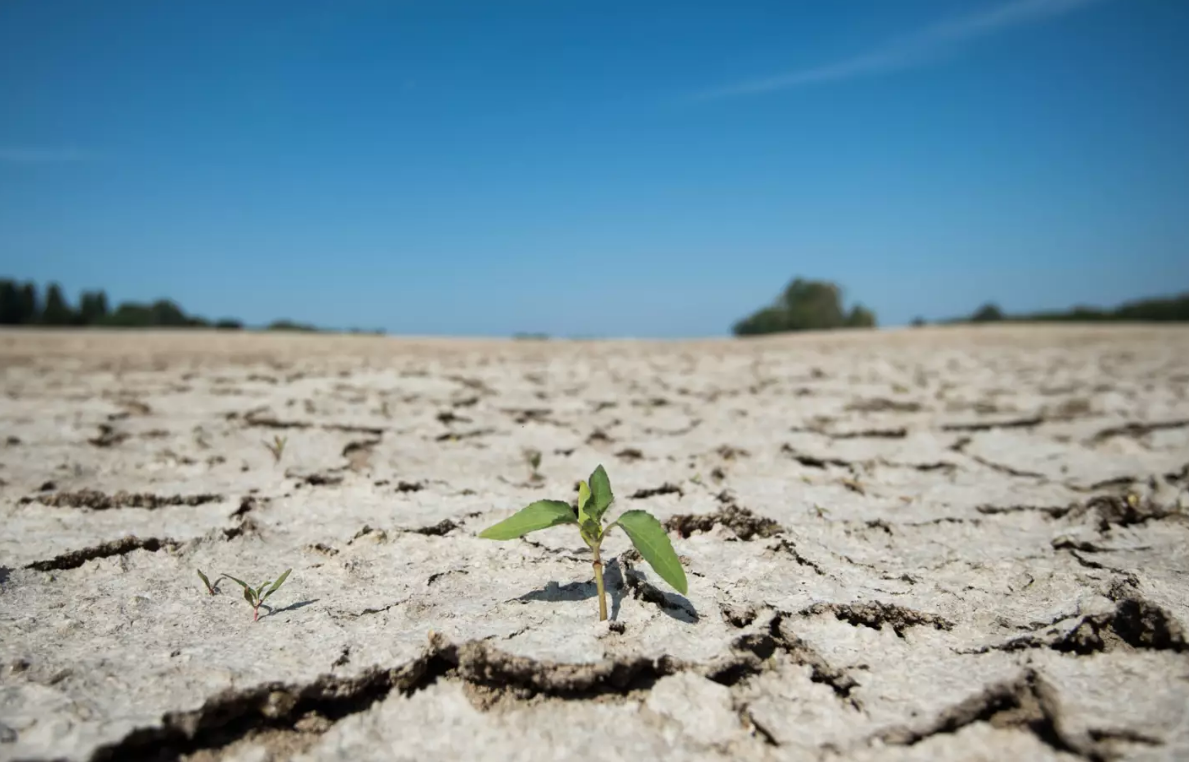 Météo: le sud-est de la France reste très sec malgré des pluies abondantes en mars à l'échelle du pays