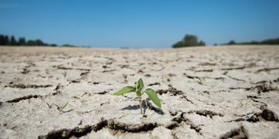 Alerte sécheresse: Christophe Béchu, ministre de la Transition écologique appelle à faire 