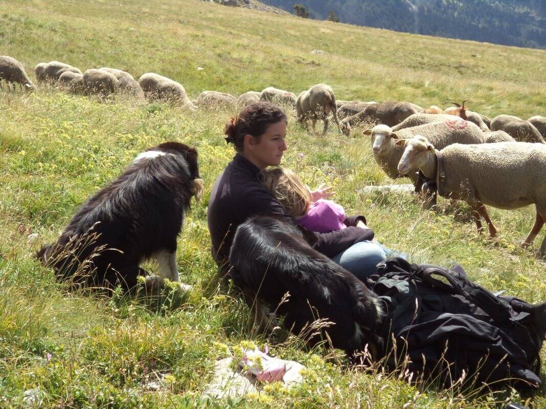 5 bonnes raisons d'aller au marché des vallées sinistrées par la tempête Alex à Cagnes-sur-Mer