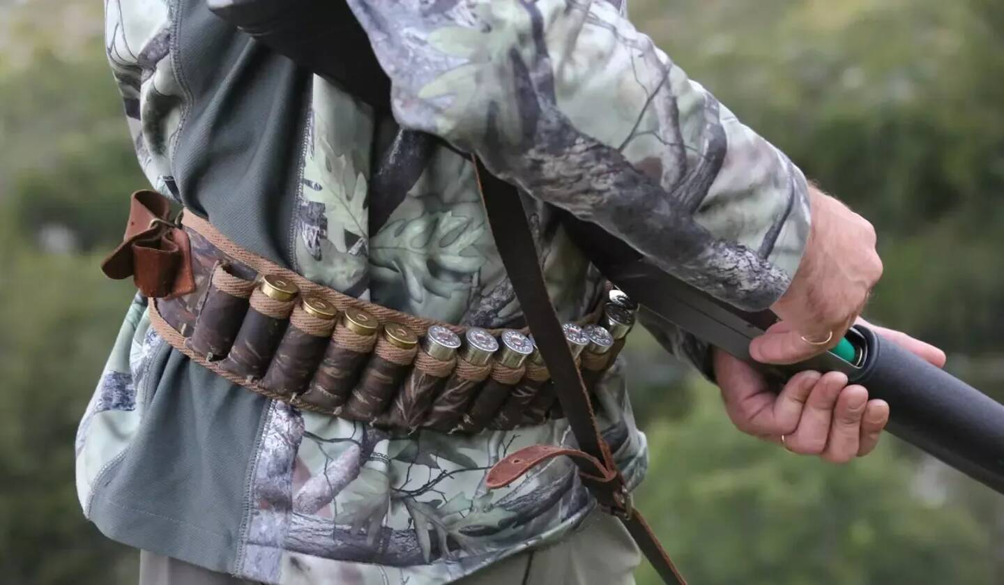 Des chasseurs se sont introduits dans la propriété protégée de la famille Keane, pour y tuer un sanglier.