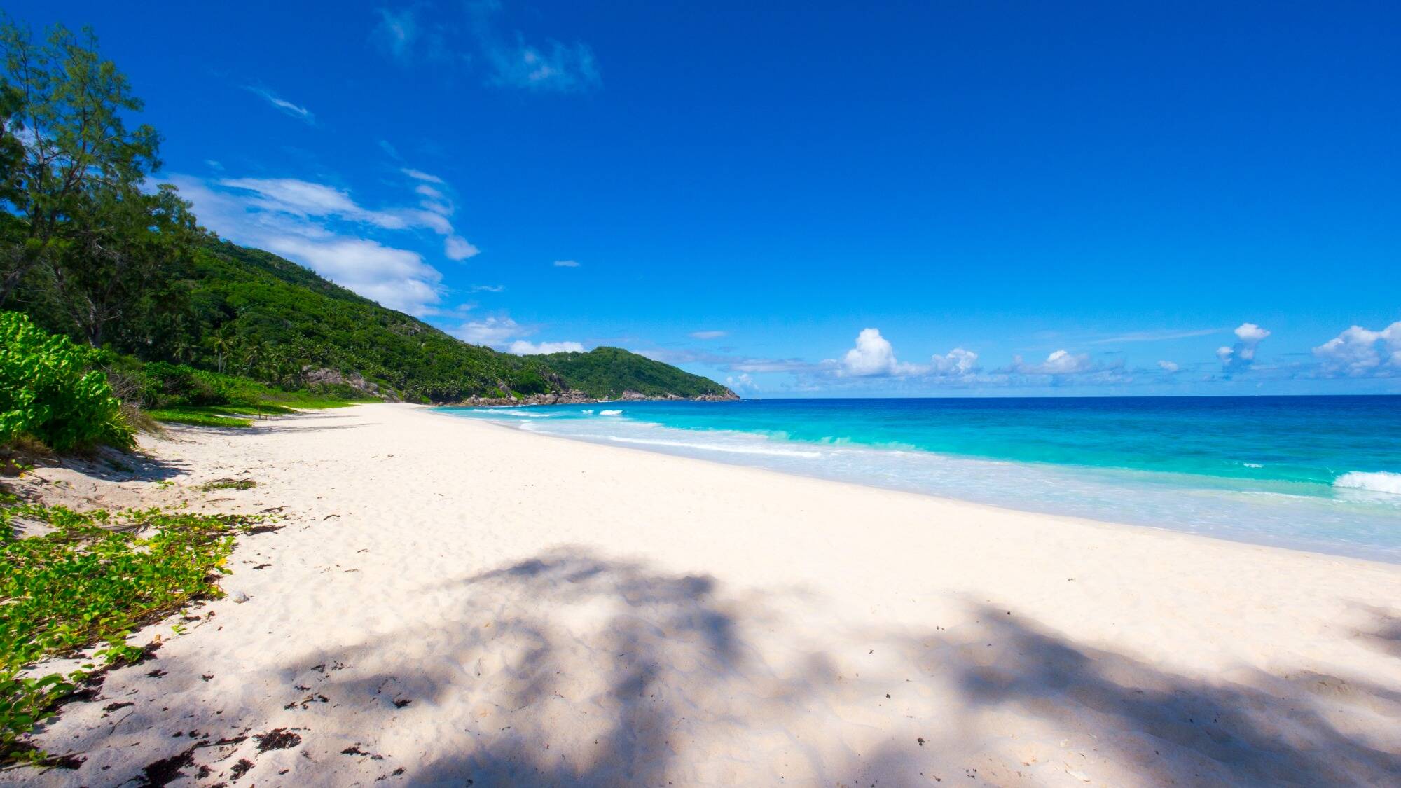 seychelles+dr-2hsafMN5.jpg?vh=4bcf0e&ci_