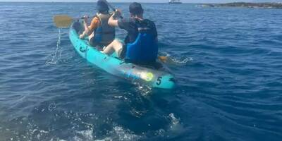 Les avez-vous vues? Cap Kayak lance un appel à témoins pour retrouver ses embarcations volées à Antibes