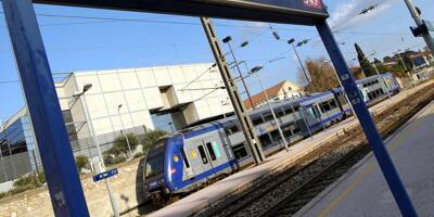 Un arbre menace de tomber sur les rails à Toulon, la circulation des trains paralysée