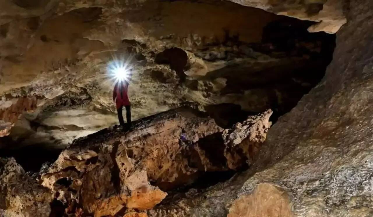 Il est le plus ancien de France, un squelette de chien vieux de plus de 15.000 ans découvert dans une grotte