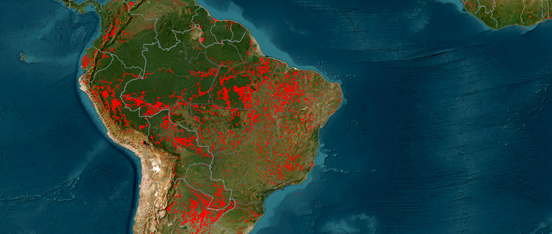 L'équivalent de 18 terrains de football perdus par minute: la destruction des forêts tropicales à un niveau record, sous l'effet des incendies