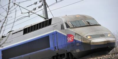 Une femme interpellée après la découverte d'un bébé mort dans la poubelle d'un train à Marseille