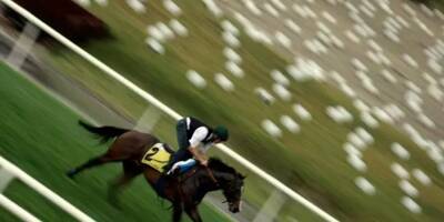 Hippisme: un cheval euthanasié lors d'une course des Preakness Stakes, un jockey hospitalisé